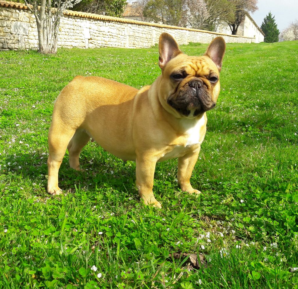 Juanita garnetta de la Vallée de d'Artagnan